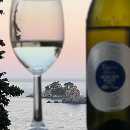 Seahaven Apartment Petrovac Bagian luar foto