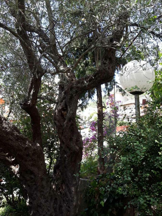 Seahaven Apartment Petrovac Bagian luar foto