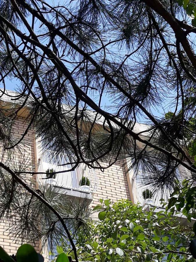 Seahaven Apartment Petrovac Bagian luar foto